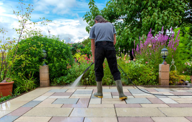 Best Animal Enclosure Cleaning  in Summit, MS